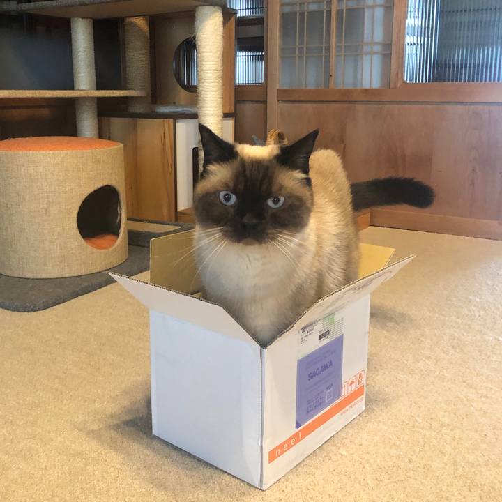 715d36d3 2e6d 4511 945a 385f0cd0c488 1627777603107