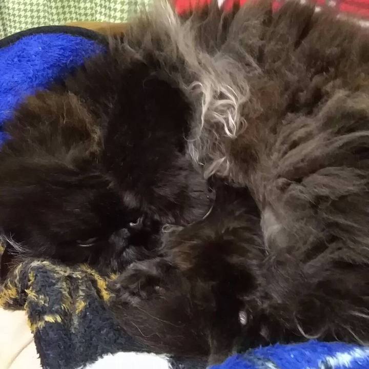 715d426e 14bd 45ef a854 372744a3552f 1510188797807