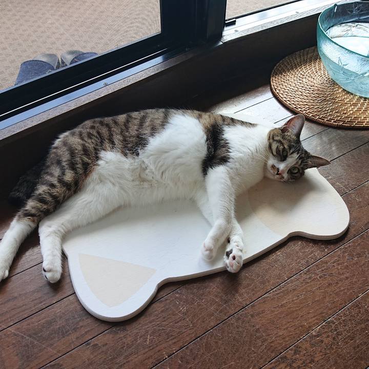 715d4ad4 24df 4ab1 85b4 d787145f5ebb 1626587747596