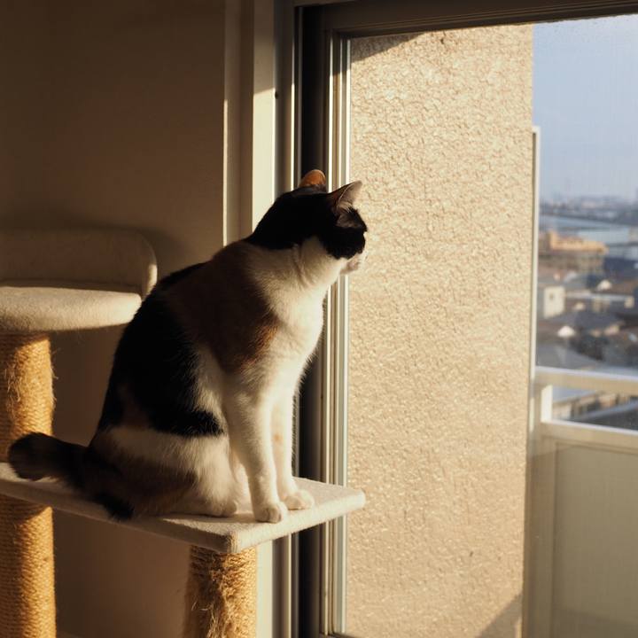 715d89c9 7d0d 451f a337 ad7e7c581c63 1552814562589