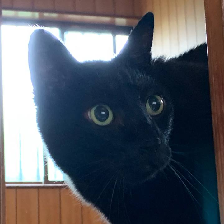 715dbc9e b831 4d43 9963 2e60fe70ec14 1596254046618