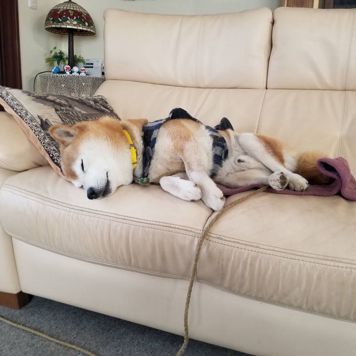 715e194f 528f 491d 8000 f271d92de657 1674429398593