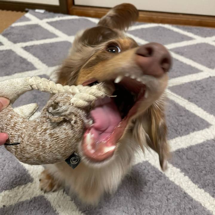 715e3e8d 279d 426a 9fdb 60b612bf2f18 1762347916177