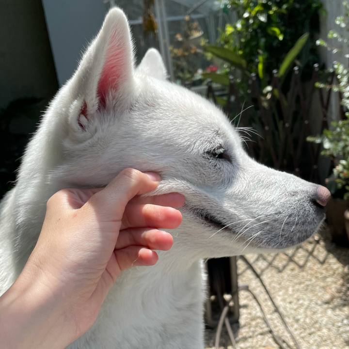 715e8166 3489 4983 94c2 5cfd35767fd1 1618976012103