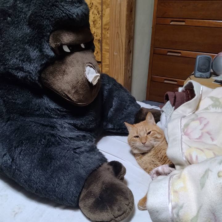 715e9059 5c51 401c bbcf 00a3ed0f9e2d 1701777095141