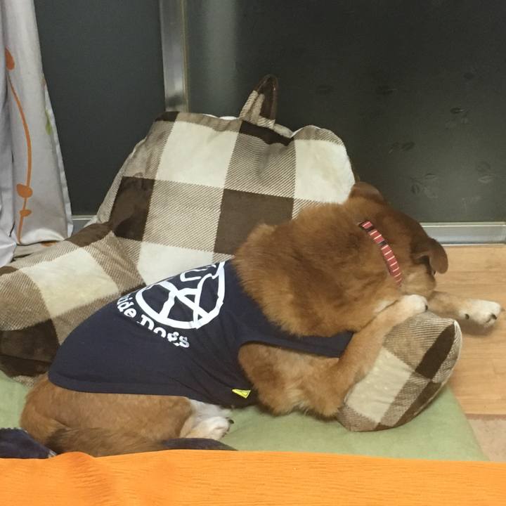 715ec61f e5c7 462f 9fc9 5ef6c8fefbcb 1519039480556