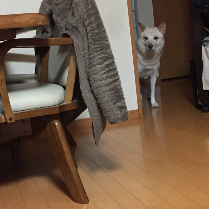 715f0fe5 ffc3 43d4 b503 92e58be5fbbd 1512039957616