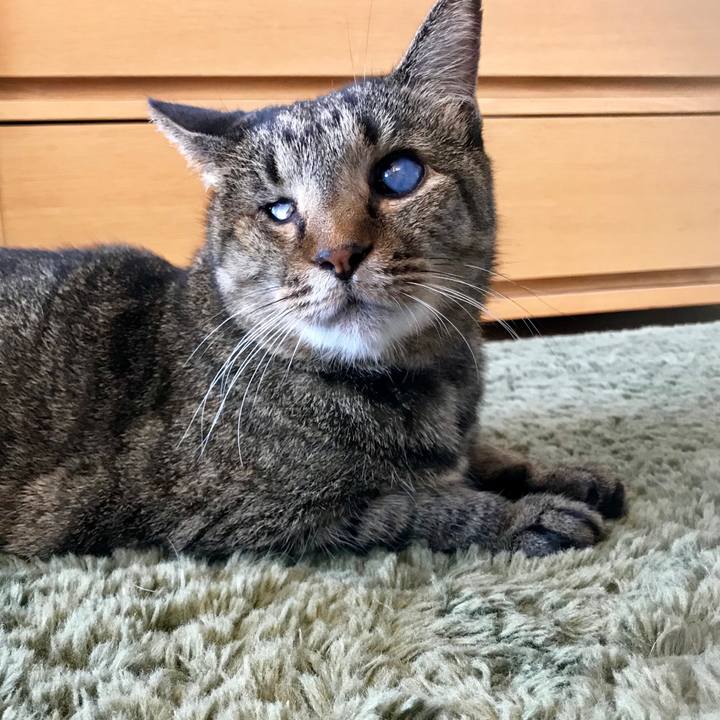 715f2229 091d 4b94 95be 22c6a5076ee7 1568195544828