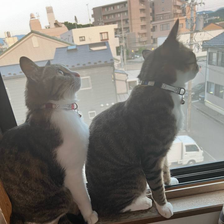 715f25ec 7548 4e96 8ebb 4124a68afe61 1728774012538