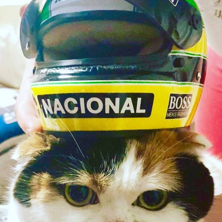 715f43b2 ec77 4de0 a917 98b49a37f081 1562933962408