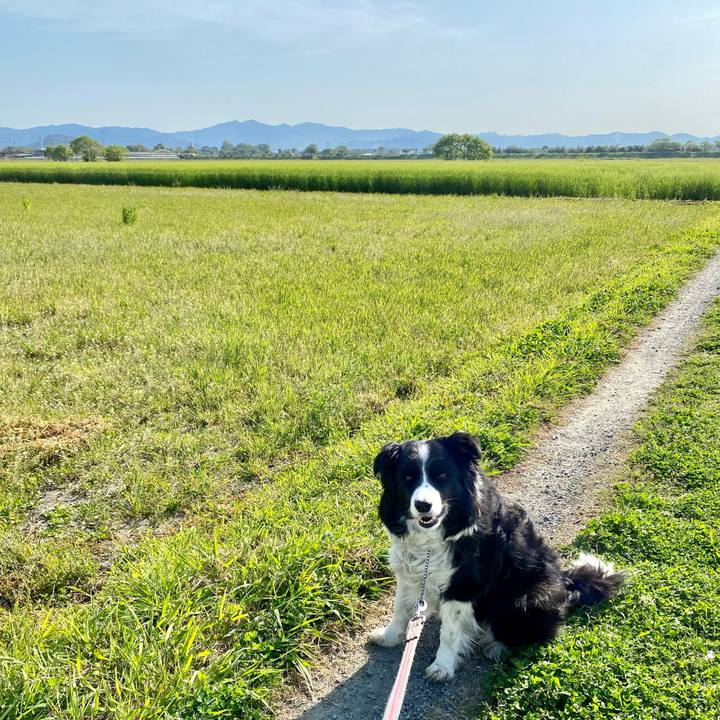 715f47e5 96b8 439d 91a3 9ea5df2098b5 1618099328666