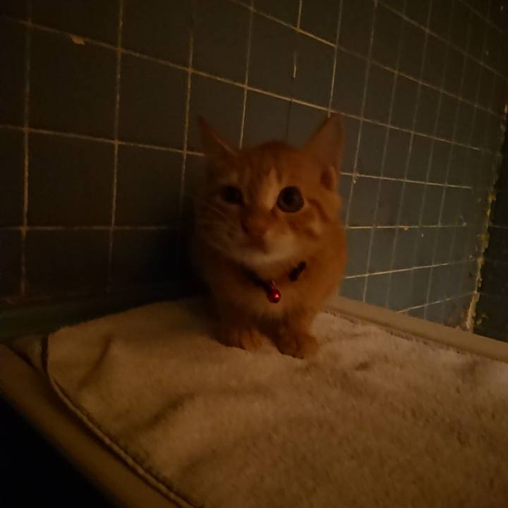 715f5921 04a9 440c bc31 19fc7b2759bc 1632389699307