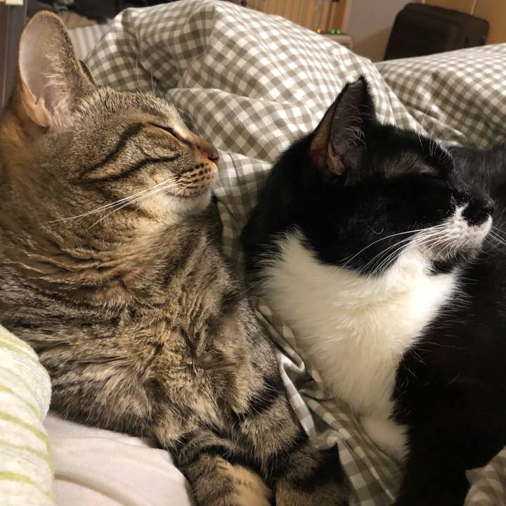 715f5e23 eebe 4467 9a50 b244929ec7d3 1551960723179