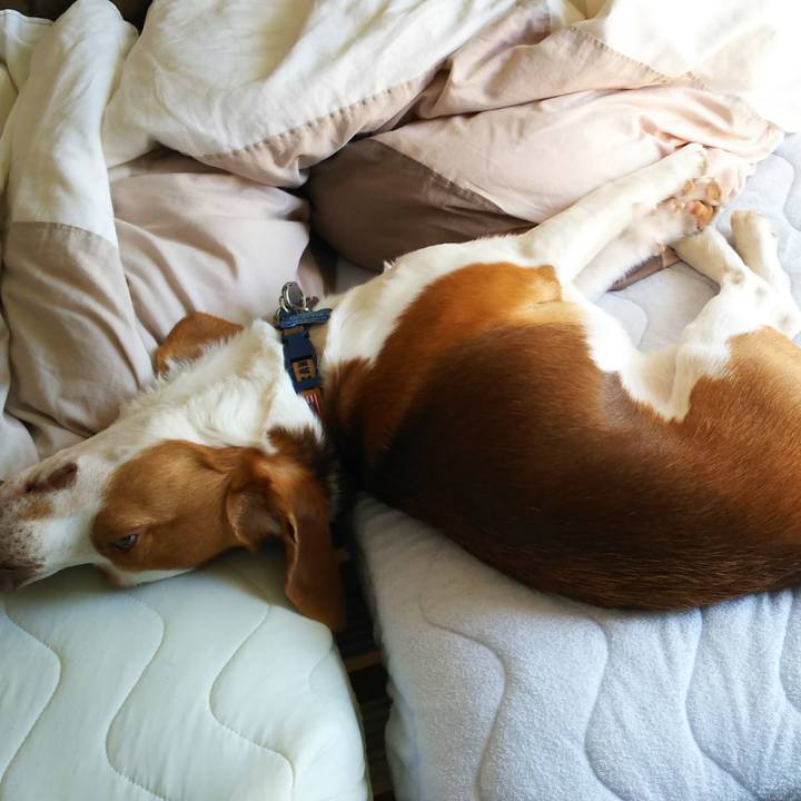 715f64ff dde7 4128 bdc7 fcfdb906bd25 1559140545516