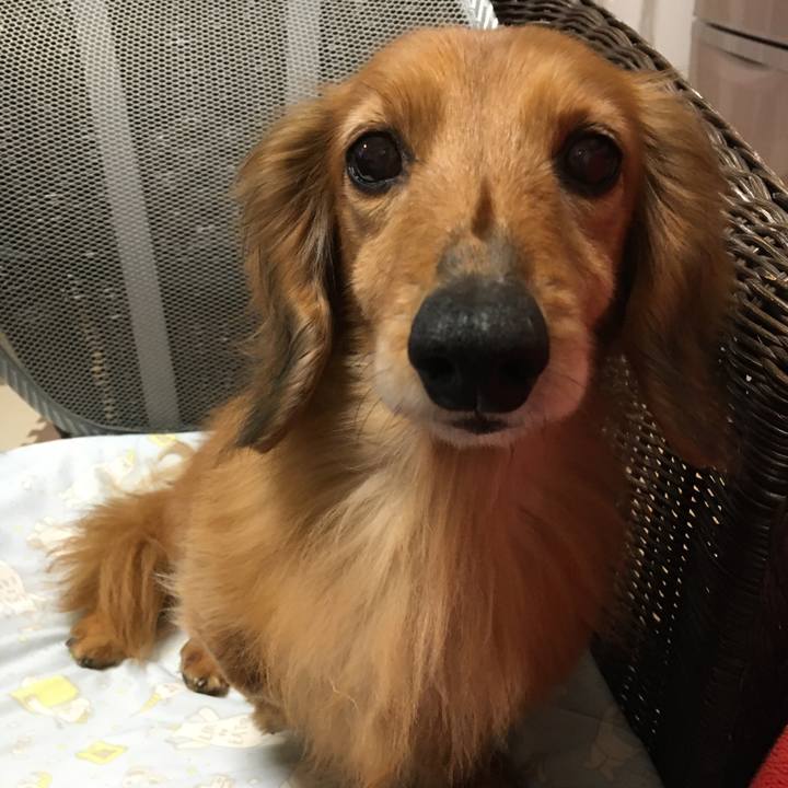 715fa77b e6e6 495a 9a3f 88d6844d98e6 1587039071254