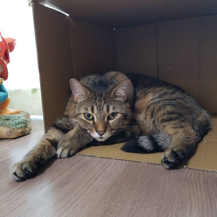 715fe48f 0d92 4ae0 9f86 b030cf719b1d 1586899077339