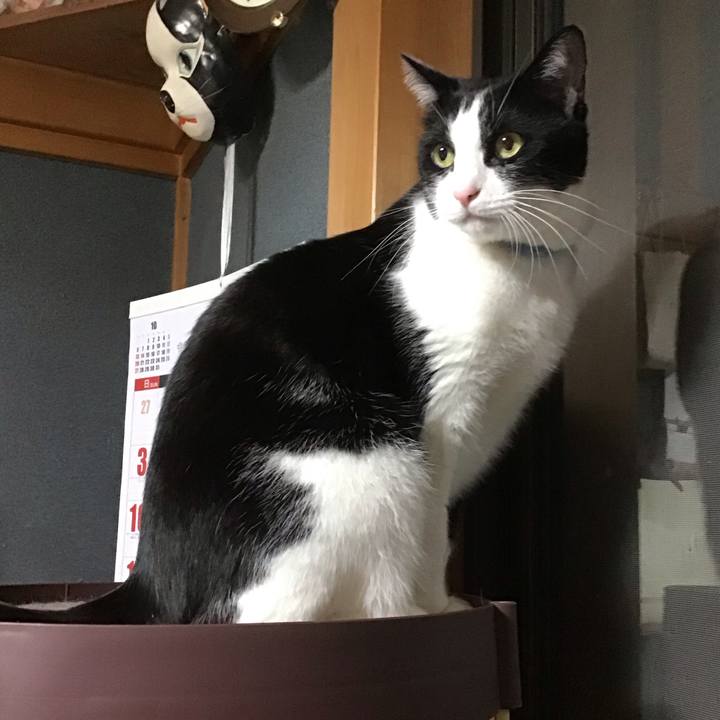 71601702 fae9 4267 bb7c 2cc304cdd3b9 1732264199592