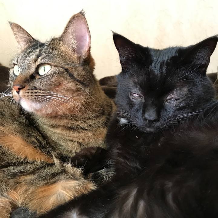 71601946 7b09 4682 82d7 f54a6ac0b855 1509601935965