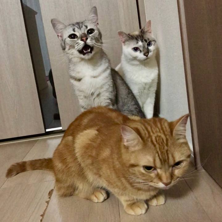 71601bff dae3 4559 8405 c008031c1d74 1530614450015