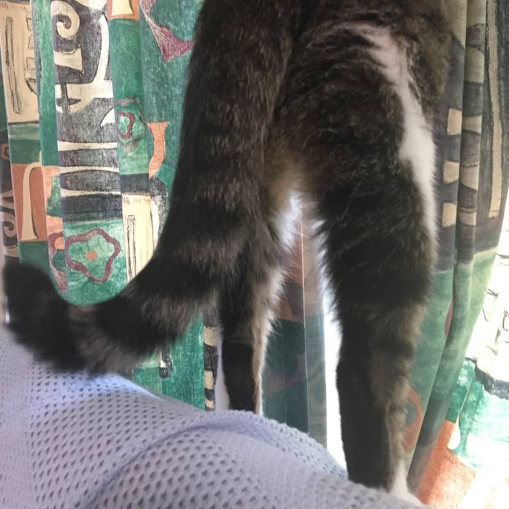 71603472 bf64 4a3b 9ebd f48963eb9133 1682402558836