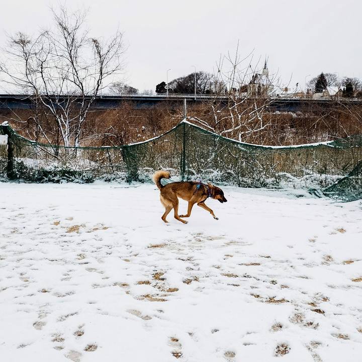 71603a99 836c 45db 97f7 9e392db49f38 1770513109700