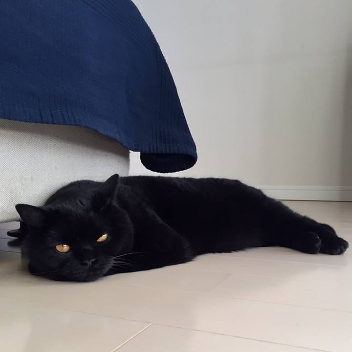 716041f3 bd6c 46f1 832d 69d7b73a273f 1559809817043