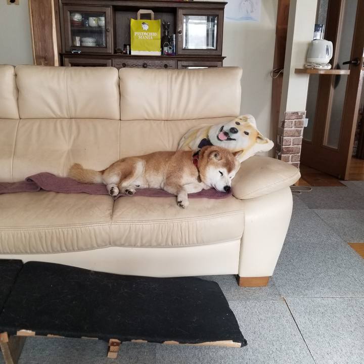 716054d5 07d3 48a6 aea8 de55bc7a35d2 1739937609658