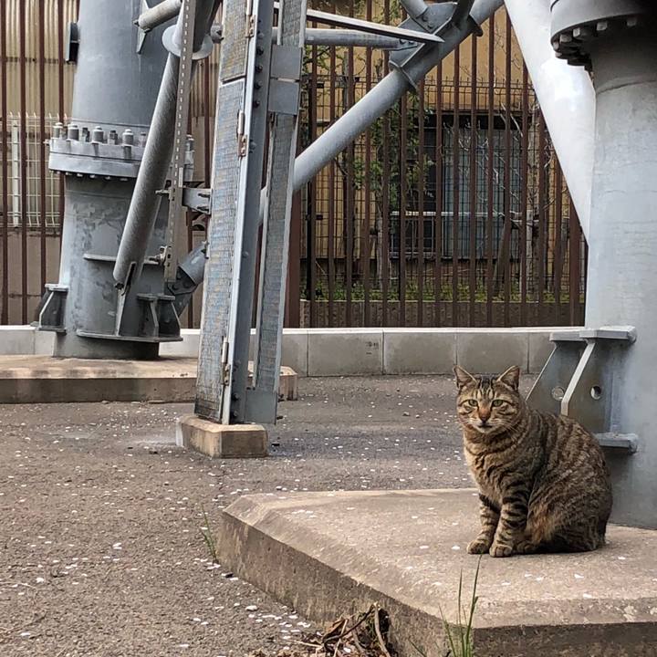 71606556 9432 4f91 9f62 4a08e843c76e 1522170367817