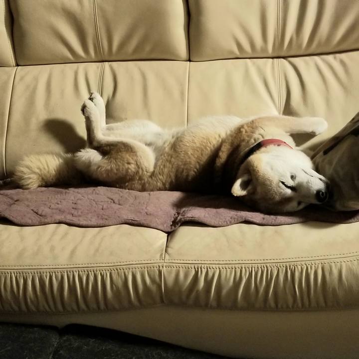 71607f3c c68e 4682 9494 6c5a196a0263 1748613057680