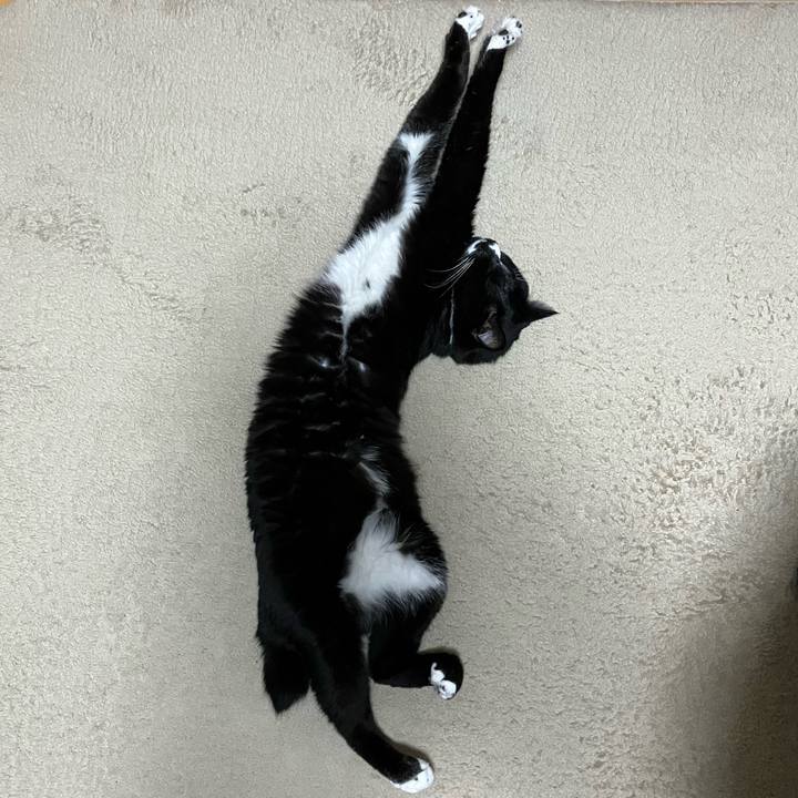 71608241 e0f0 442b b70c b428a9b21657 1764647850022