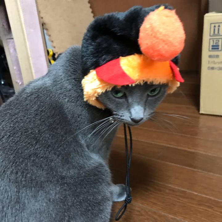 7160842b 59e9 4a46 a743 f8d1409df002 1540883613433