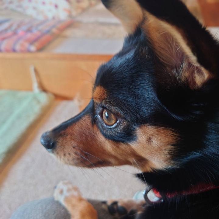 7160c0a1 ab2e 4c58 9244 162cd903780f 1764292424803