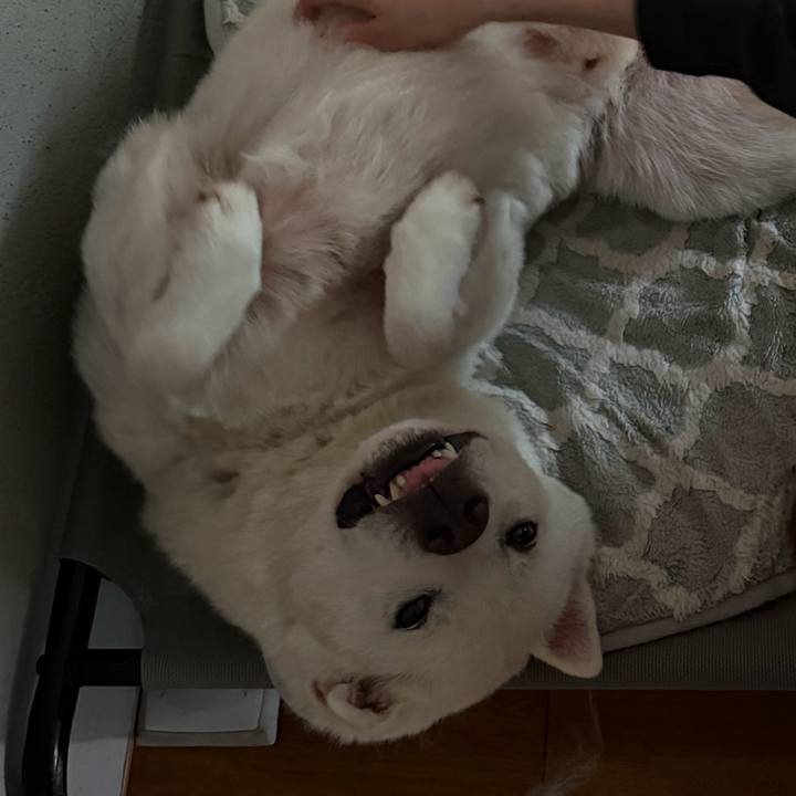 7160ccb8 de82 4c5c 8e81 0dde9eca5037 1772422562595