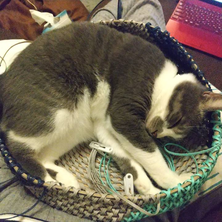 7160e313 8c27 40b4 8ae9 a82b596377c0 1624190800544