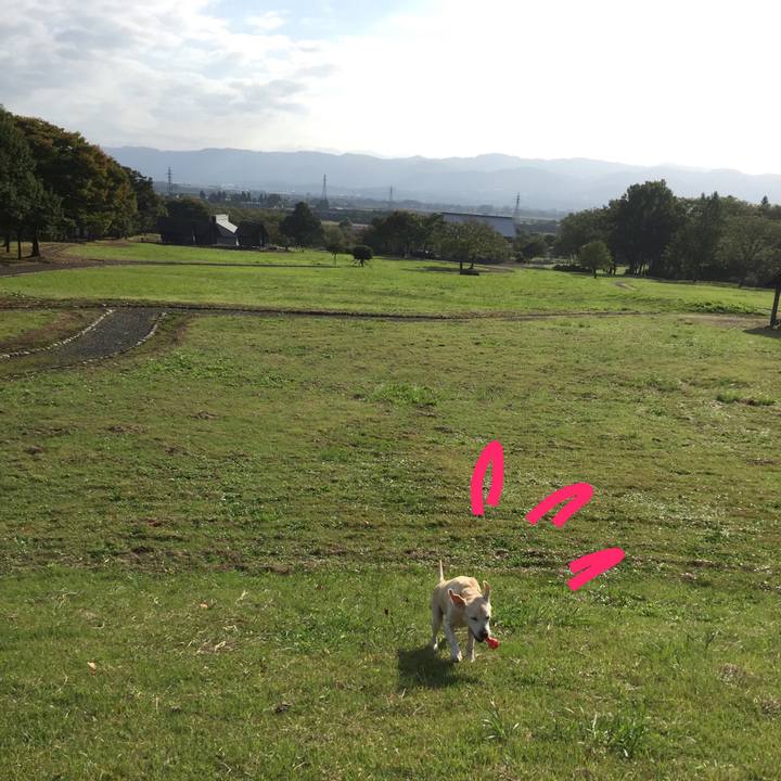 7160fe93 816d 40f4 8897 4d4f456000c4 1508286070045