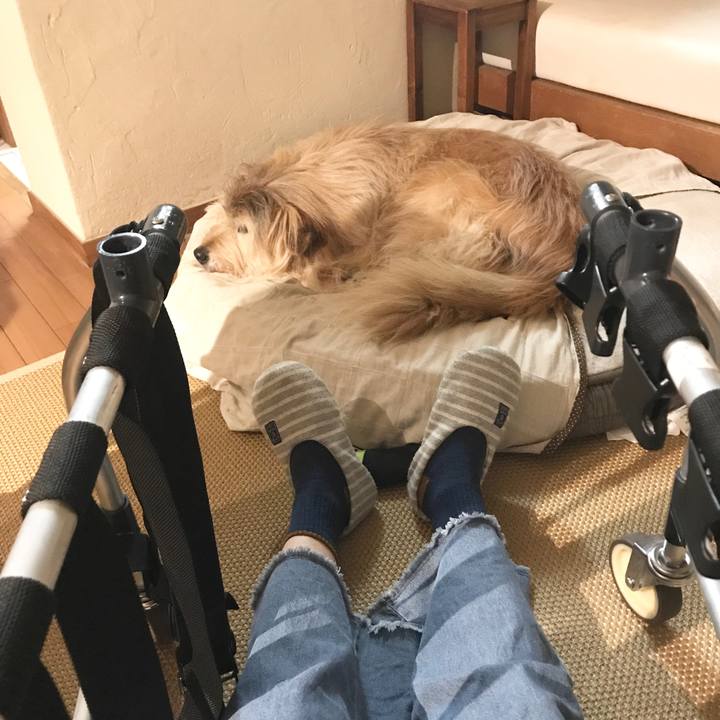 71613109 0d12 4949 8bc9 8240d8a49c06 1649979262609