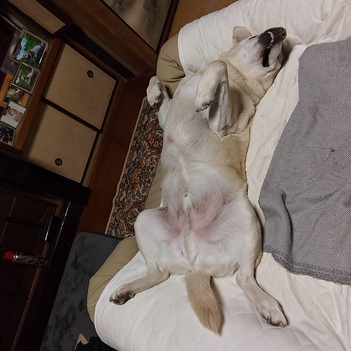 7161548b 32c4 4db8 b6f2 6d9c96cbe618 1769908888230