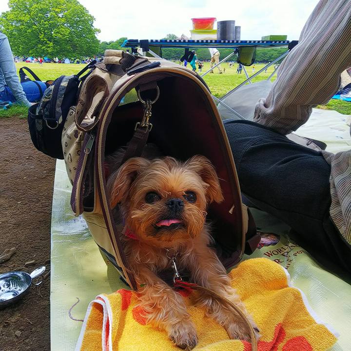 7161a455 d7ec 4fe7 a56f 282b8e3605de 1556942980081