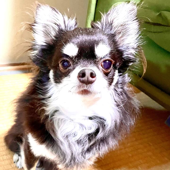 7161a941 f1b5 4eba 874a f8e754a6de17 1616627999623