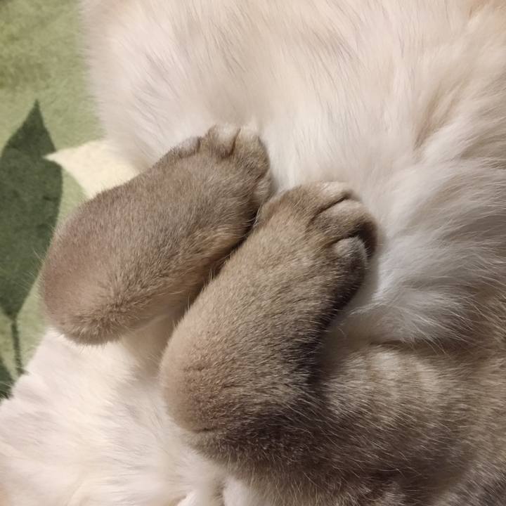 7161d4f1 59c4 4b27 8b45 f91c16a831a9 1582371366032