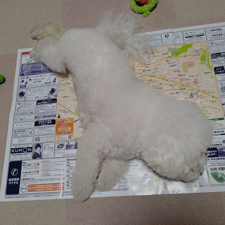 7161fdb6 900f 4c55 9c4a 23250b5b50ed 1599537974995