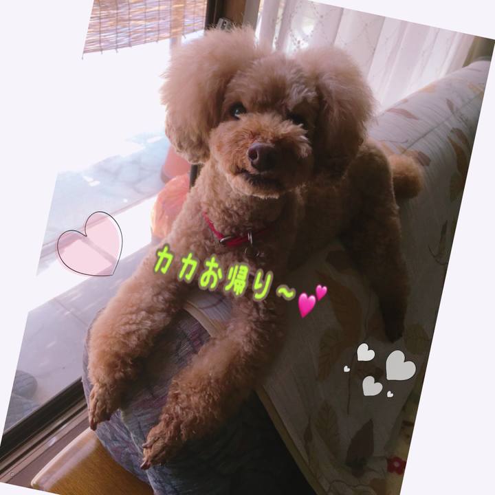 71624b01 a8b5 4211 842e fae45514d521 1529210948296