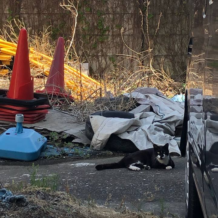 716250db fe97 4492 88f9 934f1cf5c2e4 1589722277372