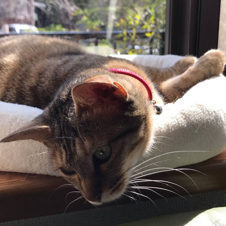 71625258 8c42 47b0 9a8a 084ff217fc21 1585183511022