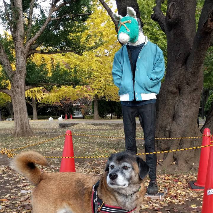 71627155 85c5 4cdf a4d6 a04873ffe9e3 1574347514180