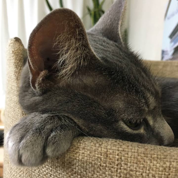 716289f4 1645 4c2e 8709 4c05e48fe00f 1592220025993