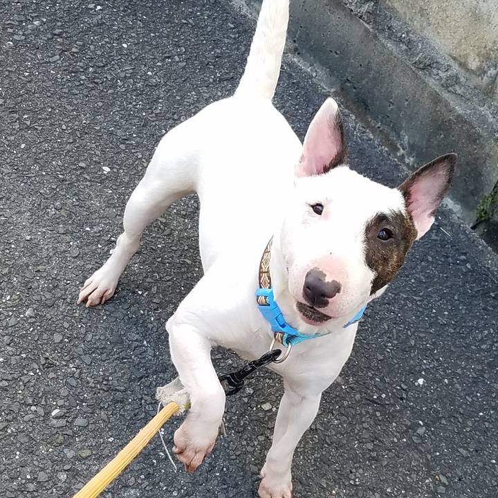 7162aaf1 9bfb 493f a0e4 dd7fe0e3d400 1549027081311