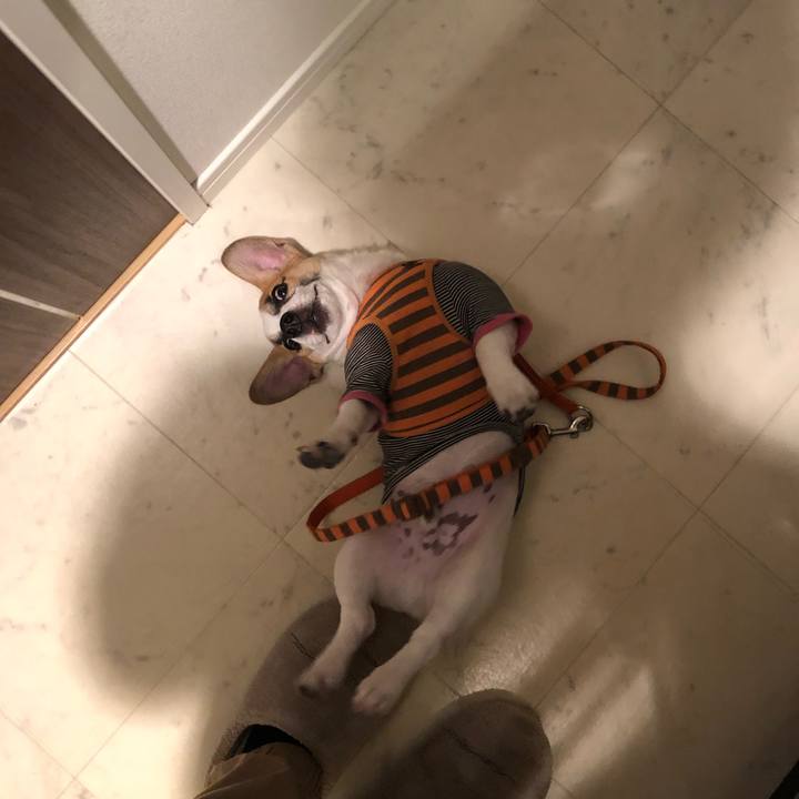 7162b32e 6e0f 4274 8bf6 f0d81e6d90b1 1551693420157