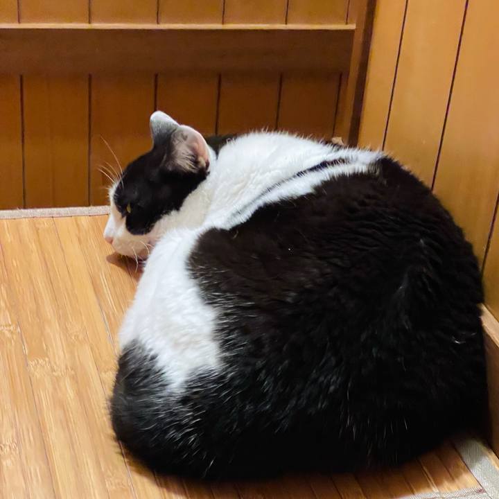 7162ceec c6cf 45d3 a3e2 dbd18244f382 1625711922381