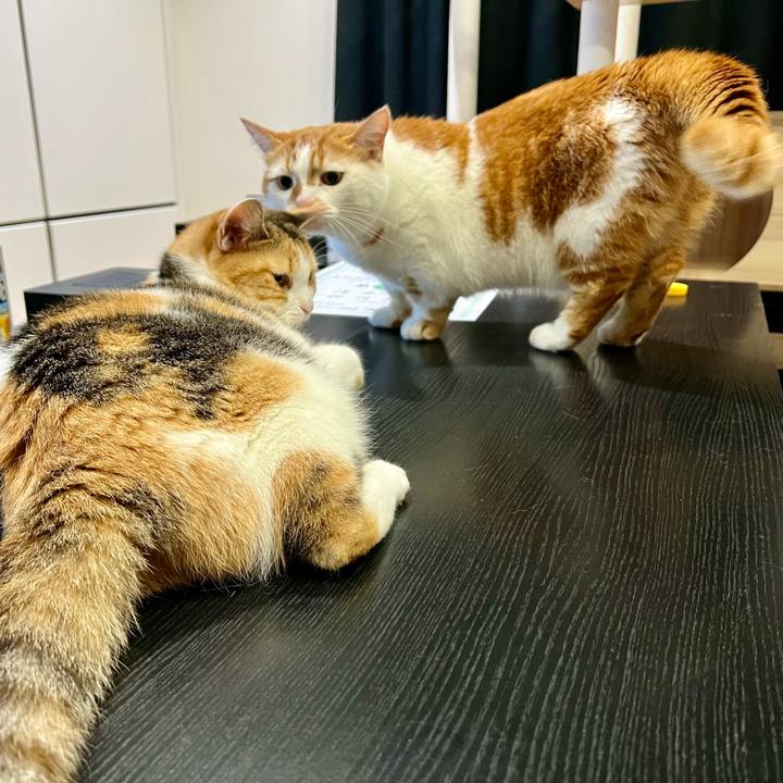 7162f506 8683 4efb 8d2e 277bb28b58b7 1757648740163